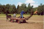 Ove001650