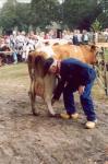 Ove001757