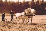 ploegen met 2 paarden