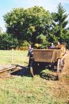 Werkpaard 2003 057