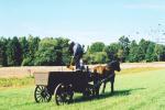 Werkpaard 2003 060