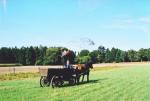 Werkpaard 2003 061