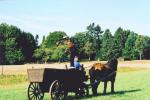 Werkpaard 2003 062