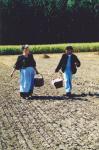 Werkpaard 2003 085