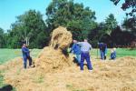 Werkpaard 2003 086