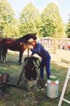 Werkpaard 2003 094