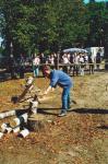 Werkpaard 2003 102