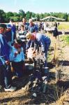 Werkpaard 2003 113