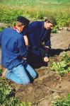 Werkpaard 2003 151