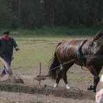 IMG_0088