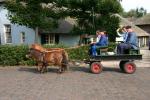 Werkpaard 2008 143