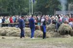 werkpaard 2008 212