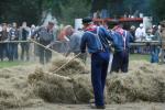 werkpaard 2008 415