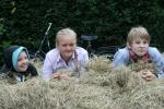 werkpaard 2008 439