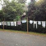 1_werkpaard-2012-55