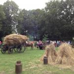 1_werkpaard-2012-71
