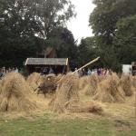 1_werkpaard-2012-72