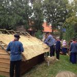 1_werkpaard-2012-86