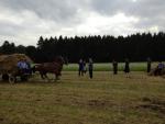 werkpaard 2012 (127)