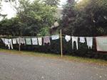 werkpaard 2012 (55)