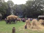 werkpaard 2012 (71)