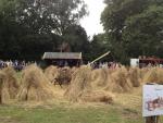 werkpaard 2012 (72)