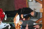 Werkpaard 2013 122