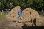 Werkpaard 2013 144