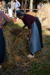 2014-09-21 12-36-59 JV