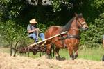2014-09-21 13-32-09 JV