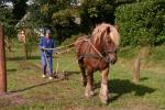 2014-09-21 14-30-20 JV