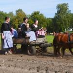 Albert-van-der-Linde-33