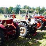 Albert-van-der-Linde-93