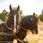 Gert-Jan_den-Besten_Fotografie-38