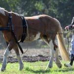 Harry_van_t_Veld-11