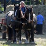 Harry_van_t_Veld-110