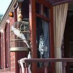 Harry_van_t_Veld-115