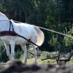 Harry_van_t_Veld-2