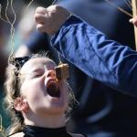 Harry_van_t_Veld-26