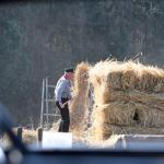 Harry_van_t_Veld-31