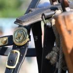 Harry_van_t_Veld-46