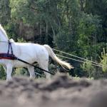 Harry_van_t_Veld-70