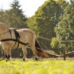 Harry_van_t_Veld-71