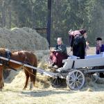 Harry_van_t_Veld-72