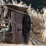 Harry_van_t_Veld-86