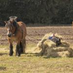 Patricia_Rave_Fotografie-20