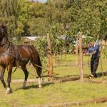 Patricia_Rave_Fotografie-25