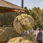 Patricia_Rave_Fotografie-41