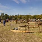 Patricia_Rave_Fotografie-42