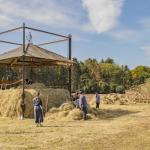 Patricia_Rave_Fotografie-43